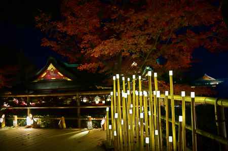 史跡御土居のもみじ苑　ライトアップ　2023