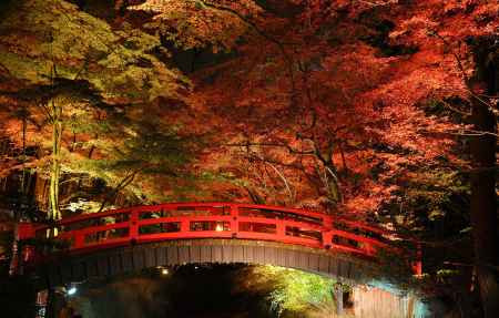 鶯橋　錦秋
