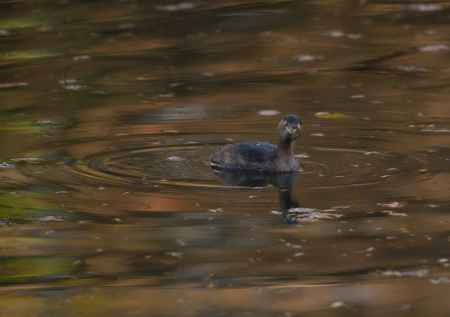 そんなに撮るの