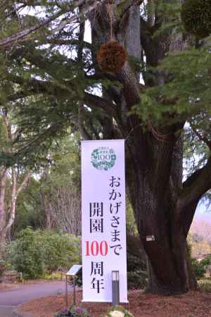 おかげさまで開園100周年