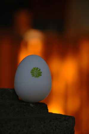 卵型のおみくじ