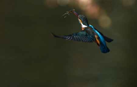 昇り龍のごとく　2024