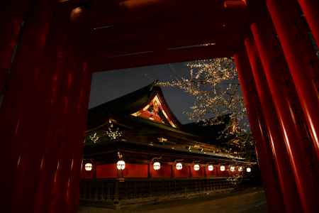 鳥居から一輪ほどの暖かさ