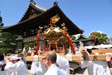 青空に舞う　御神輿