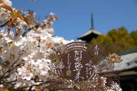 阿弥陀如来　切り絵御朱印