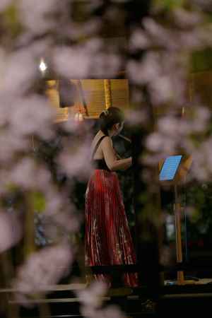 フルートと枝垂桜