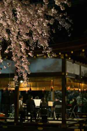 桜コンサート　2