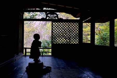 高山寺さん　春　2024