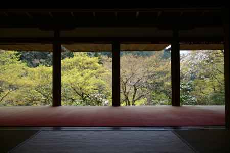 日出先照高山之寺（ひいでてまずてらすこうざんのてら）