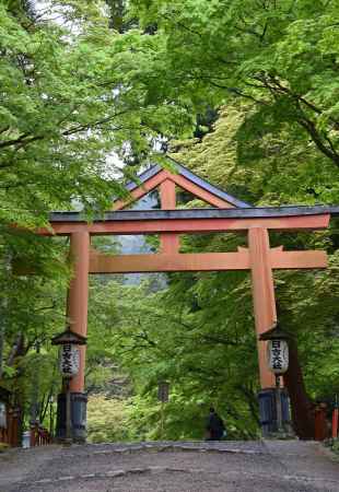 山王鳥居　新緑