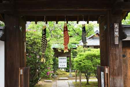 新緑の露地庭園特別公開・春季特別公開　2024