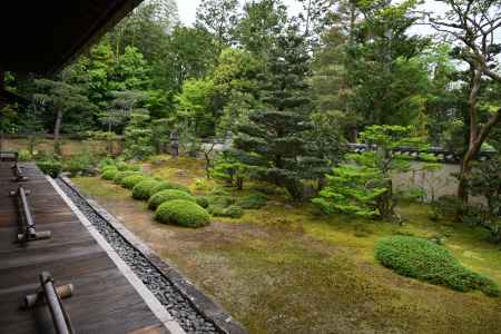 苔のみの枯山水