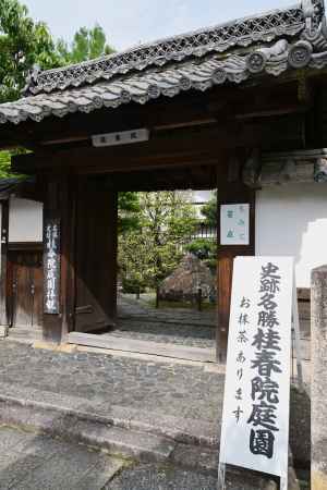 桂春院さん　お抹茶あります