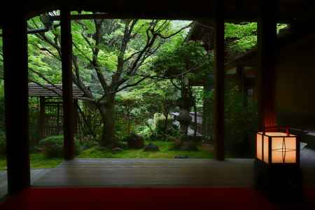 侘の庭　行灯