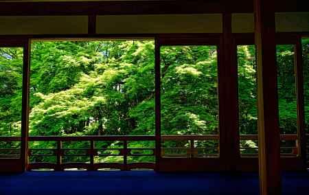 書院からの眺め