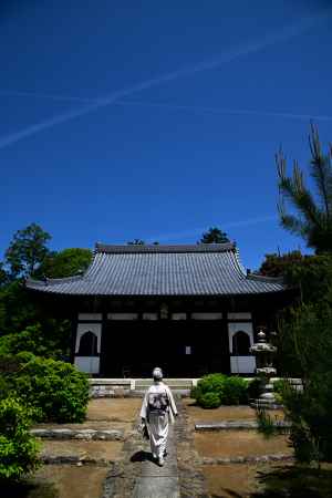 大雄殿　颯爽と
