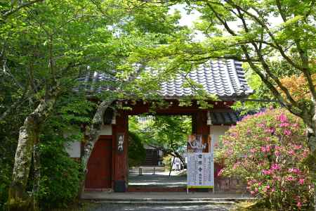 常照寺 春期京都非公開文化財特別公開　2024