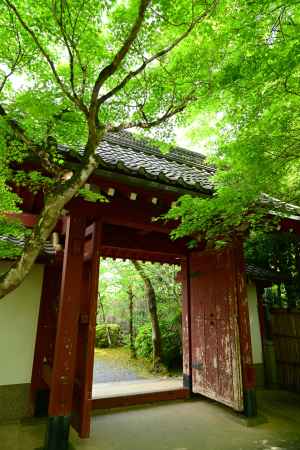 新緑の吉野門