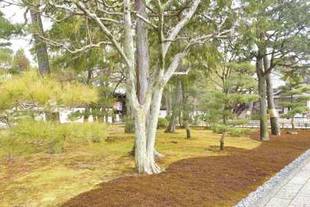 智積院　入口１