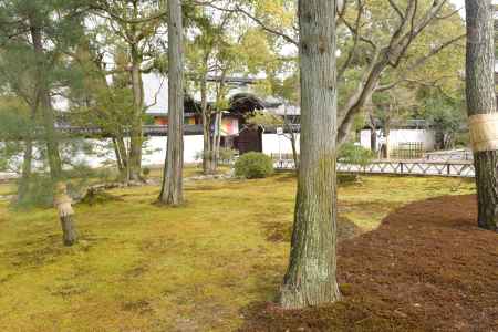 智積院　入口２