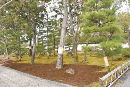 智積院　入口３