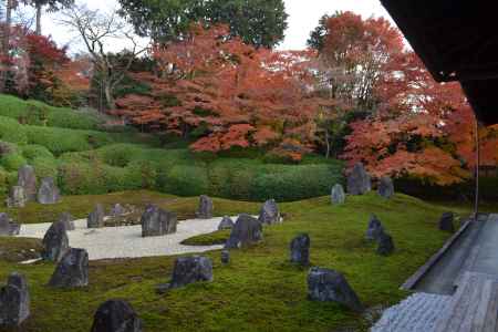 光明院　紅葉と庭園