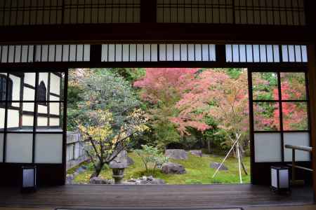 勝林寺　庭園の紅葉　本堂にて