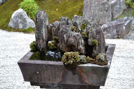 霊雲院　遺愛石