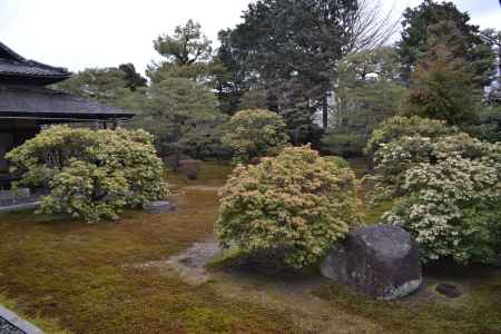 聖護院　馬酔木の庭