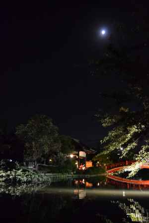 神泉苑　観月会