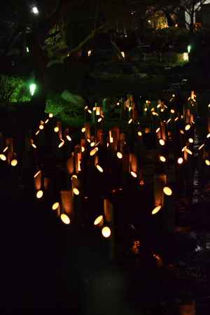 東山花灯路　円山公園　竹灯り