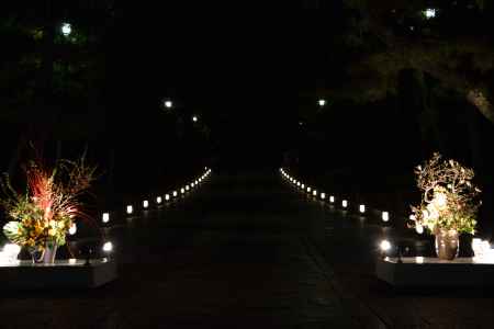 東山花灯路　　大谷祖廟