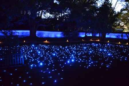青蓮院　ライトアップ