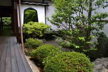 桂春院　清浄の庭