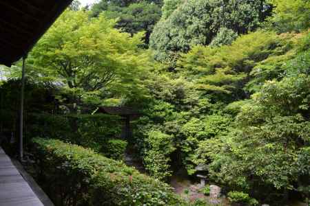 桂春院　方丈から見る思惟の庭