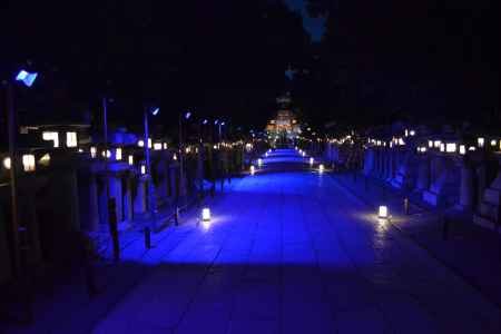 石清水八幡宮　青く光る参道