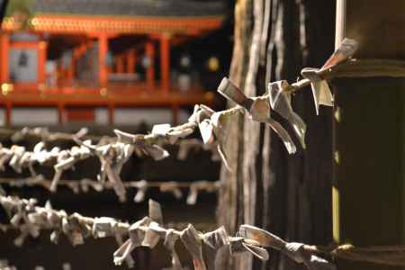 石清水八幡宮　おみくじ