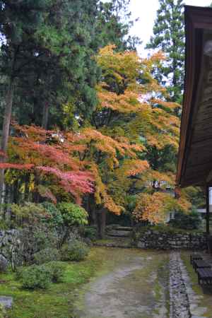 来迎院　本堂脇の紅葉