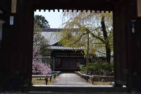 上品蓮台寺　門より…
