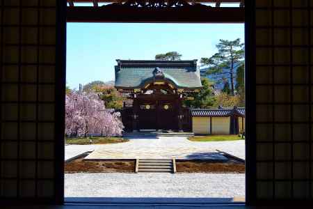 大覚寺　御影堂から…