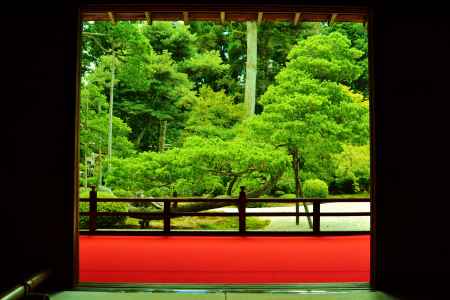 大書院より五葉の松を望む…