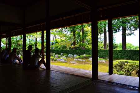 洛北の青もみじを楽しむ　圓通寺
