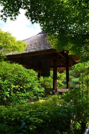 青もみじと鐘楼