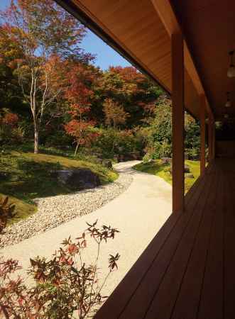 初秋　色付きかけた紅葉