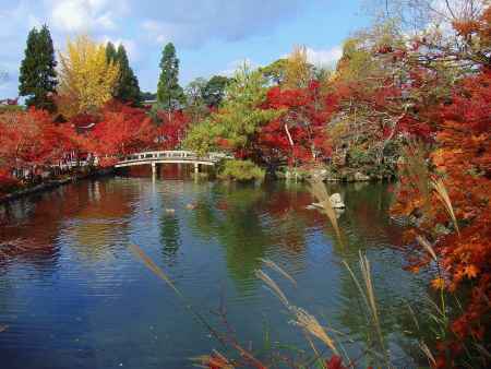 永観堂の秋