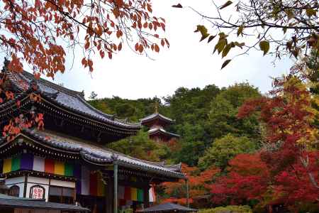 紅葉の今熊野観音寺