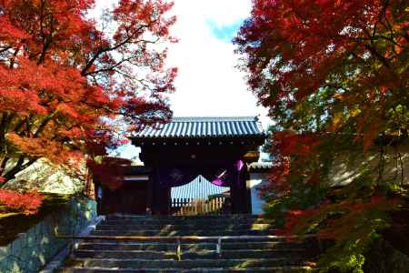 曼殊院　勅使門