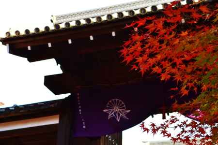 勅使門の紅葉
