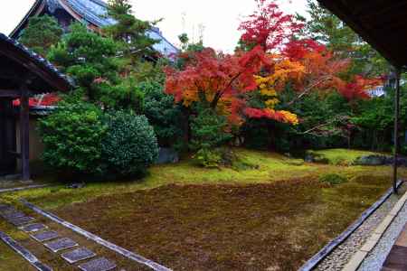 方丈庭園　清凉寺