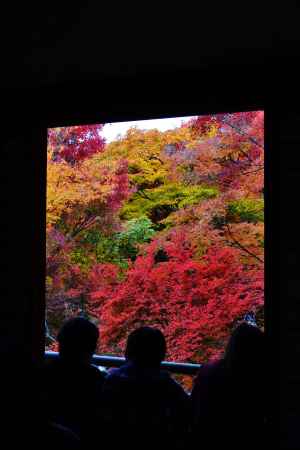 本堂から…　宝筐院